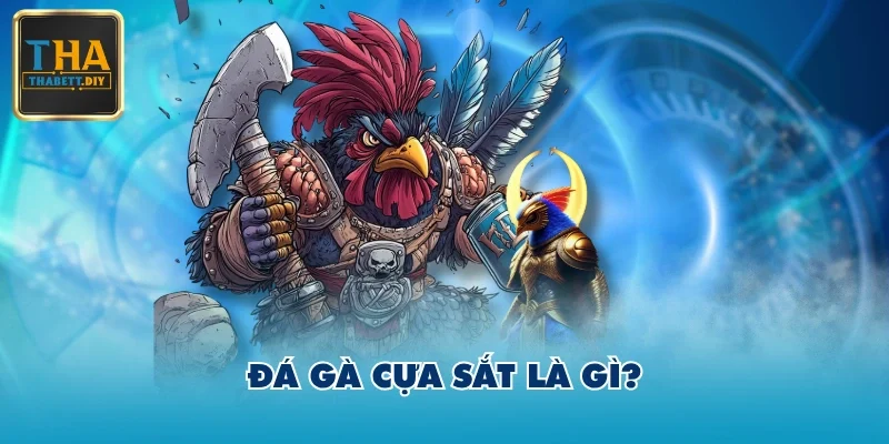 Đá gà cựa sắt là gì?