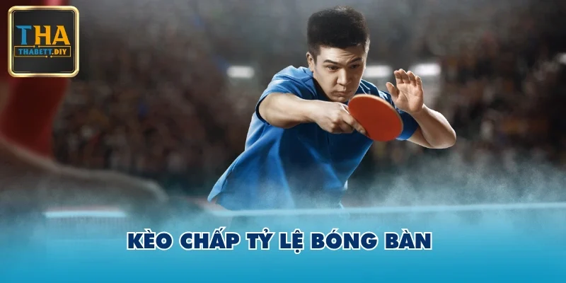 Kèo chấp tỷ lệ bóng bàn